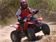 Action Shot