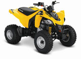 DS_250_Ylw_2013